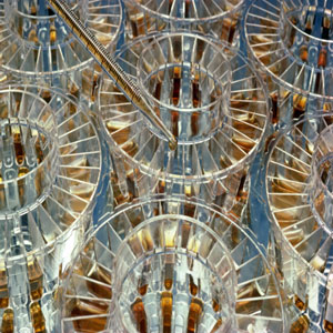 Synthetic lubricants are chemically engineered from pure chemicals rather than refined from crude oil.